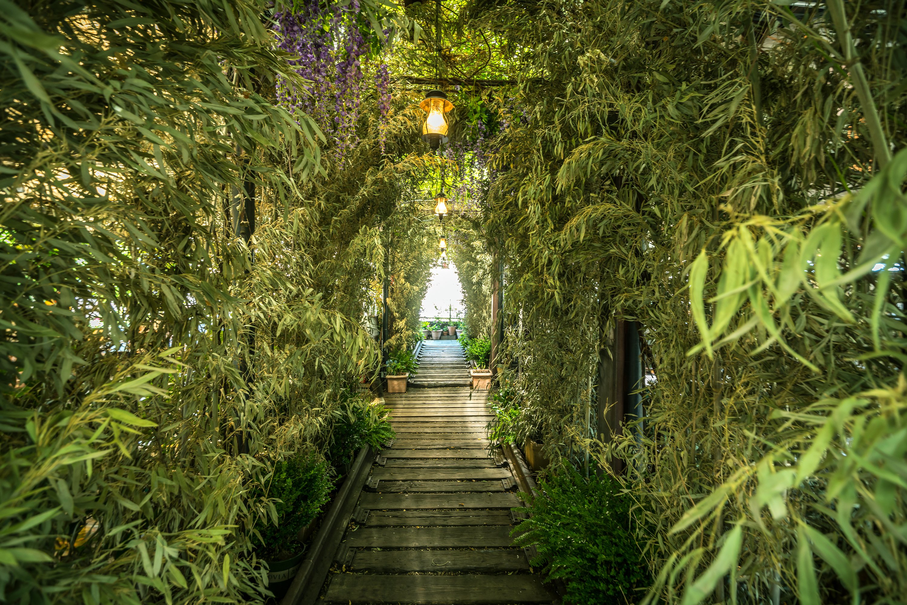 Gallow Green Brunch arch_Noah Fecks_718_126